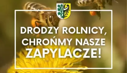 Gmina Środa Śląska: Chrońmy nasze zapylacze!