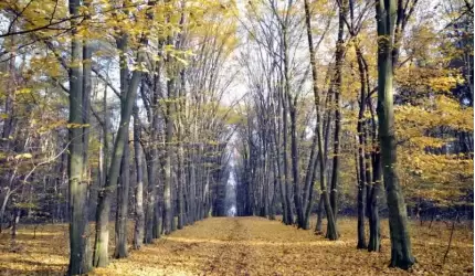 Jak nazwać park? Gmina Miękinia i Aktywni Razem ogłosili konkurs