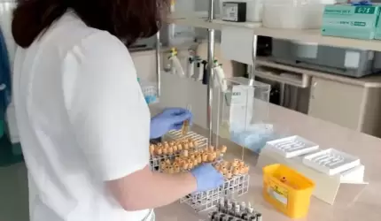 Osocze ozdrowieńców pilnie potrzebne!