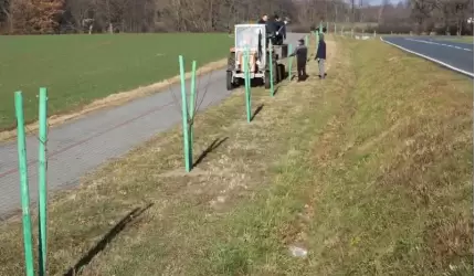 Odcinek Środa Śląska - Ciechów cały w drzewach