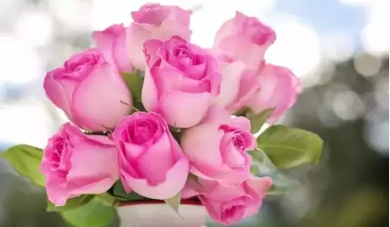 Serdeczne życzenia z okazji Dnia Kobiet składa Leszek Maciejewski