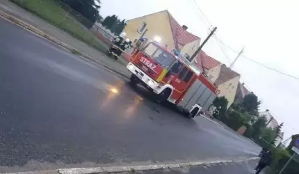 Fałszywy alarm w Udaninie