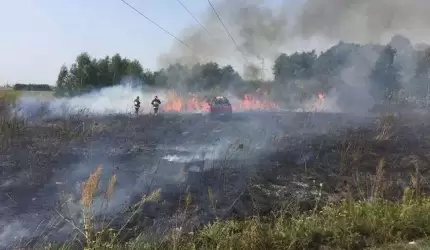 Pożar łąki w Szczepanowie