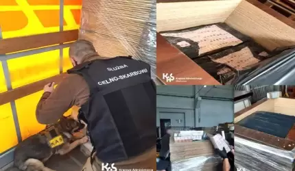 W płytach meblowych ukrył papierosy warte ponad 400 tys. zł