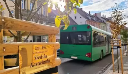 Konkurs rozstrzygnięty – jarzębiny przed ratuszem mają swoje imiona