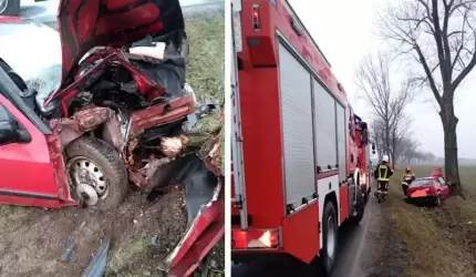 Zasłabł za kierownicą. Auto uderzyło w drzewo