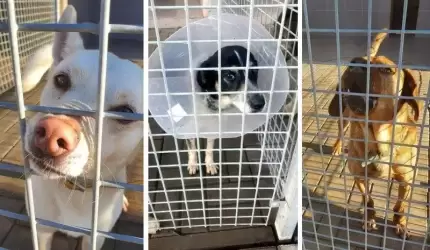 Dobroć dawana innym zawsze do nas powraca