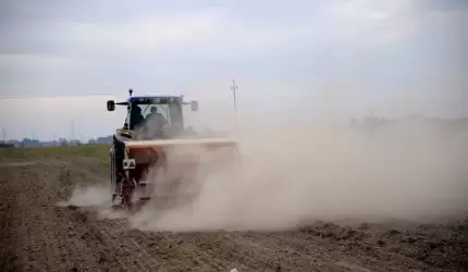 Pył jako czynnik chorobotwórczy