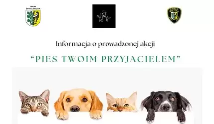 Pies Twoim Przyjacielem - akcja średzkiej Straży Miejskiej