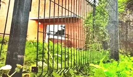 Sprawca kradzieży płotu wpadł w ręce średzkiej Policji