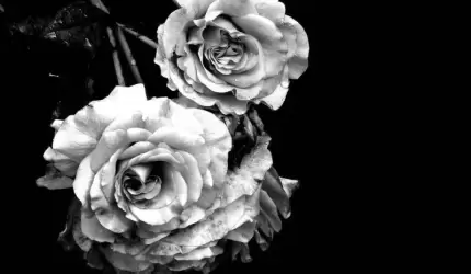 Kondolencje dla krewnych i bliskich śp. Marii Padewskiej