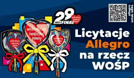 Średzko - Wilkszyńskie licytacje Allegro