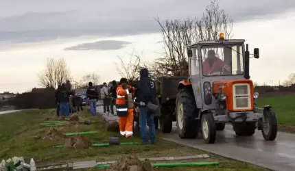 Już jutro powiatowa akcja sadzenia drzewek!