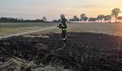 Za to grozi kara aresztu, grzywny, a nawet pozbawienia wolności!
