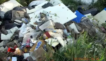 Wyrzucił gruz do lasu…a Straż Miejska ukarała go mandatem