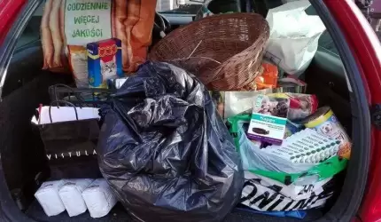 Wspomożesz „mikołajkową paczkę” dla schroniska?