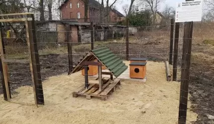 Domki dla wolno żyjących kotów w Malczycach