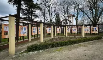 Młode Talenty zagościły w parku miejskim