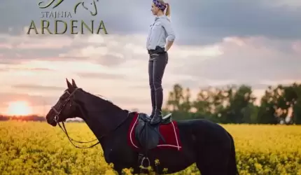 Cudze chwalimy, pochwalmy i nasze - cz. 6 Stajnia Ardena