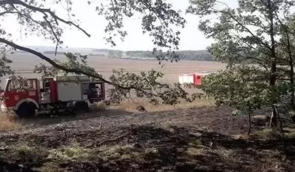 Pożar lasu gasiło 6 zastępów straży pożarnej