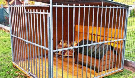 Wspólnie dla zwierząt – Gmina Środa Śląska wspiera Sierściuchy