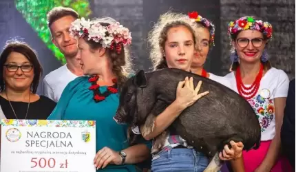 Gminne Święto Plonów w Zakrzowie (zdjęcia i wideo)