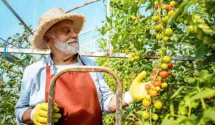 Bezpieczna praca na wysokości