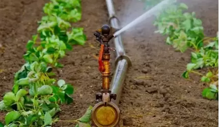 Dotacje na inwestycje w nawadnianie gospodarstw