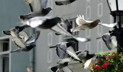 Podziękowanie za wsparcie