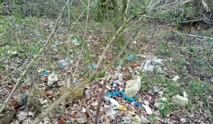 Likwidacja dzikich wysypisk między Szczepanowem i Brodnem