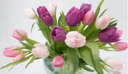 Serdecznie życzenia z okazji Dnia Kobiet składa Wojciech Mieliński