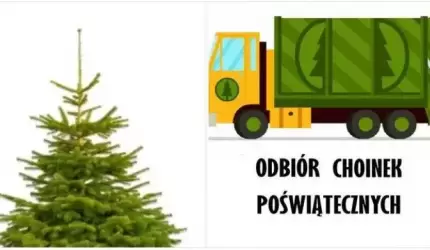 Odbiór bożonarodzeniowych choinek z terenu gminy Malczyce