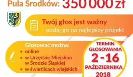 Ruszyło głosowanie na najlepsze projekty