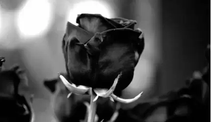 Kondolencje z powodu śmierci Męża