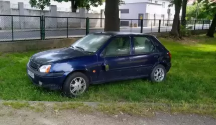 Co z samochodem zaparkowanym w miejskim parku?