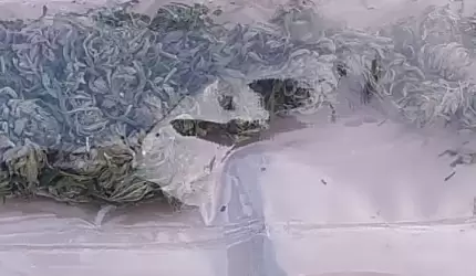 Zatrzymano dwóch mężczyzn w trakcie transakcji narkotykowej