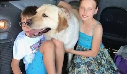 Zaginiony pies szczęśliwie powrócił do domu