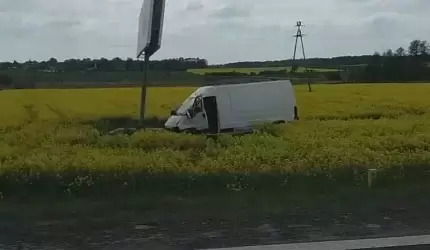 Kolizja z sarną. Poszkodowani - kierowca i dziecko