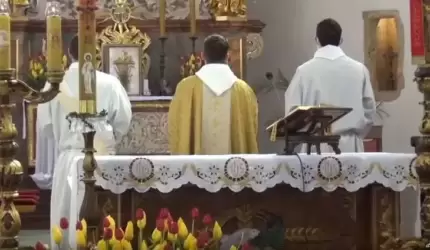 Msza św. w intencji Ojczyzny z okazji Święta Konstytucji 3 Maja (na żywo)