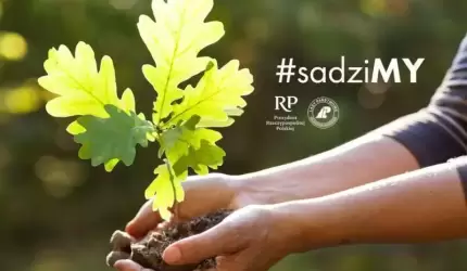 Nadleśnictwo Miękinia zaprasza do udziału w akcji #sadziMy!