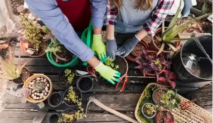 PCeKA zaprasza na bezpłatne warsztaty ogrodnicze