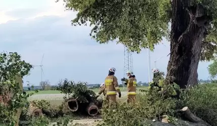 Burze, pożary i zdarzenia drogowe [raport strażaków]