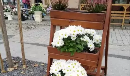 Zniszczył kwiaty z rynku. Został ukarany!