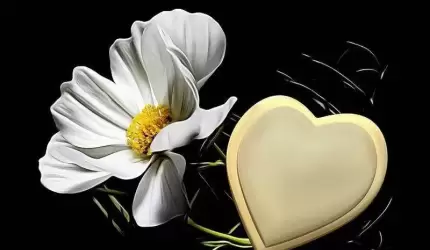 Podziękowania dla uczestników ceremonii pogrzebowej