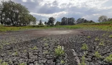 Czy czeka nas krajobraz pustyni? Pyta mieszkaniec...