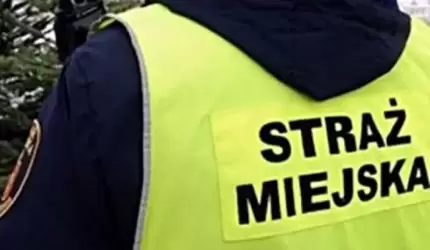 "Wypalał" kable w parku, teraz za to odpowie