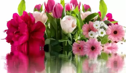 Serdeczne życzenia z okazji Dnia Kobiet składa Zdzisław Kruszelnicki