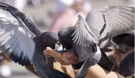 Podziękowanie dla Dariusza Maciejewskiego