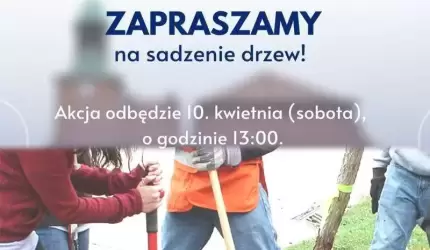 Posadzą tulipanowce na ulicy Tulipanowej. Przyłączycie się?