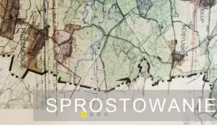 Sprostowanie nieprawdziwej informacji